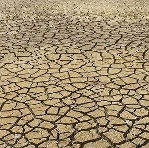 Australian business leaders the most pessimistic over climate change Australian business leaders the most pessimistic over climate change